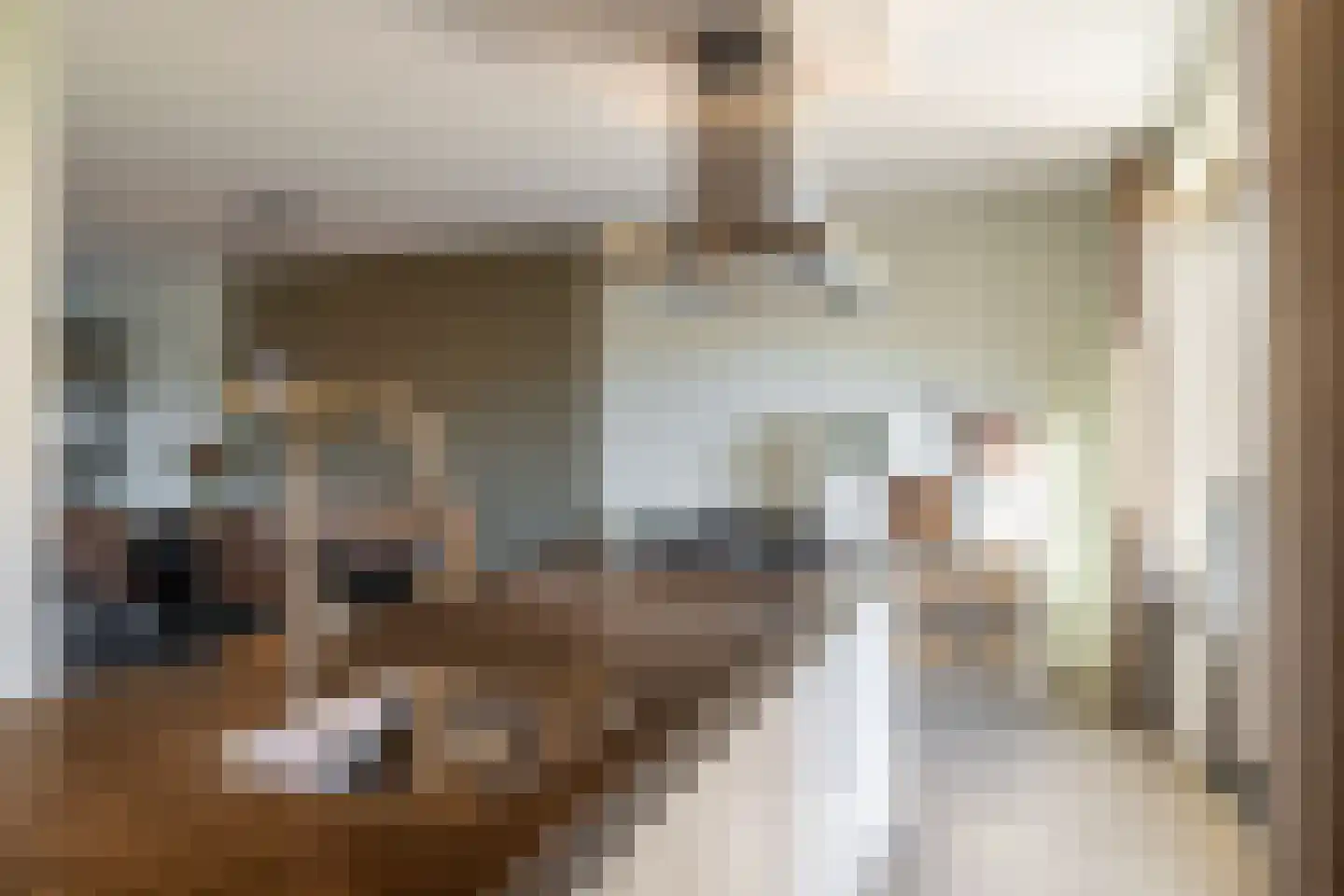 Altena 21 Chaam thumbnail 18