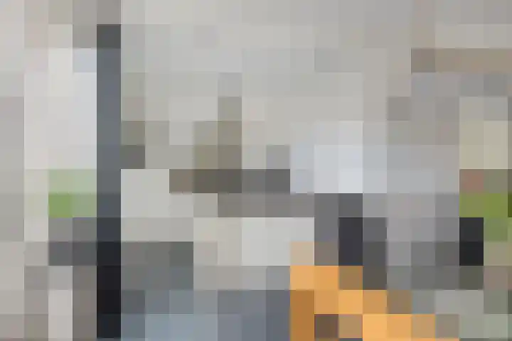 Altena 23 Chaam thumbnail 14