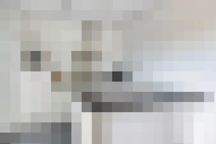 Altena 23 Chaam thumbnail 15