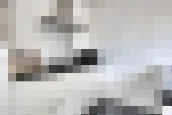 Altena 23 Chaam thumbnail 17