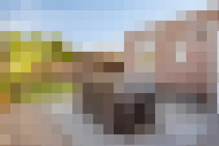 Altena 23 Chaam thumbnail 37