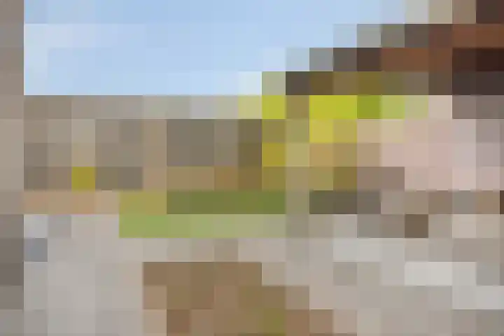 Altena 23 Chaam thumbnail 41