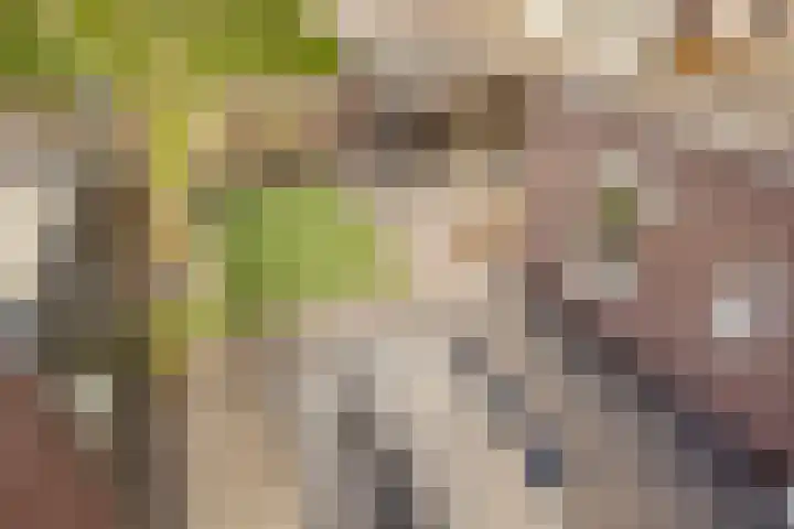 Altena 23 Chaam thumbnail 42