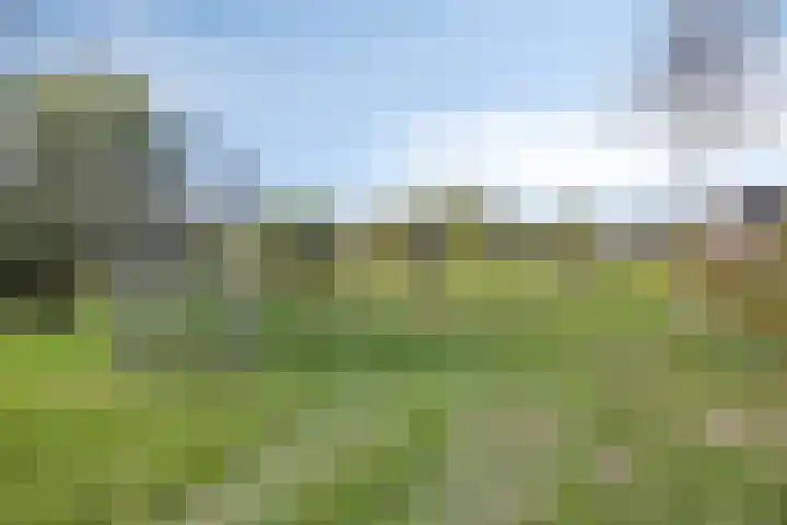 Altena 23 Chaam thumbnail 44
