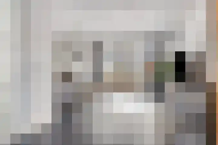 Altena 23 Chaam thumbnail 8