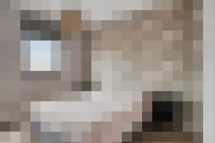 Altena 28 Chaam thumbnail 13