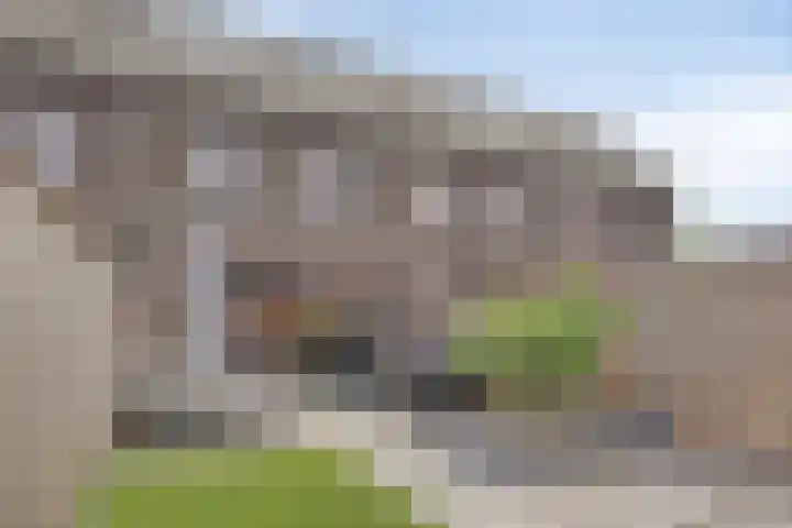 Altena 28 Chaam thumbnail 23