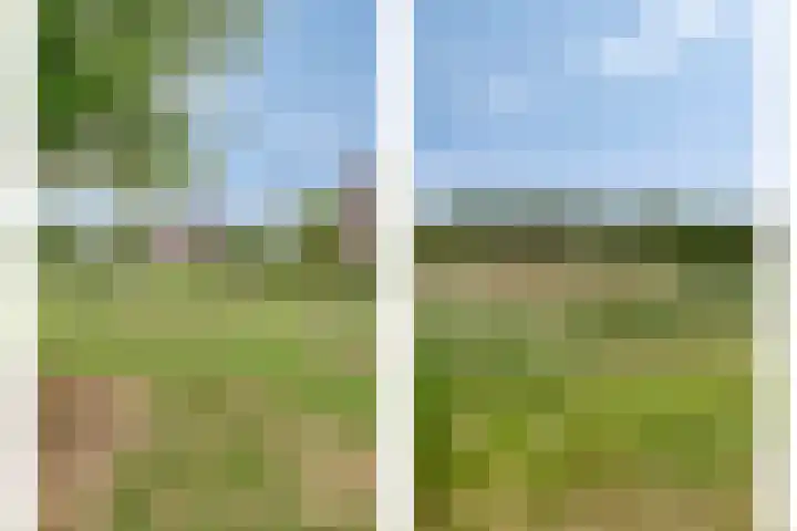 Altena 28 Chaam thumbnail 25