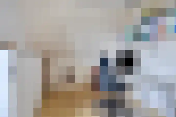 Altena 3 Gieten thumbnail 40