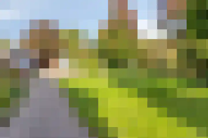 Altena 3 Gieten thumbnail 49