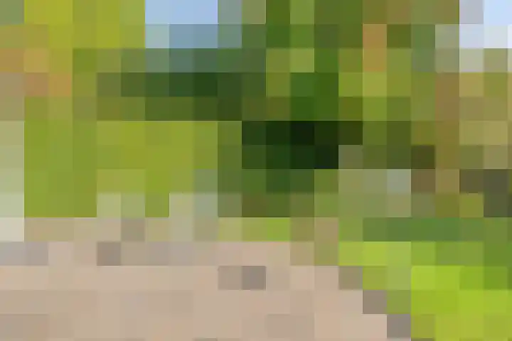 Altena 3 Gieten thumbnail 51