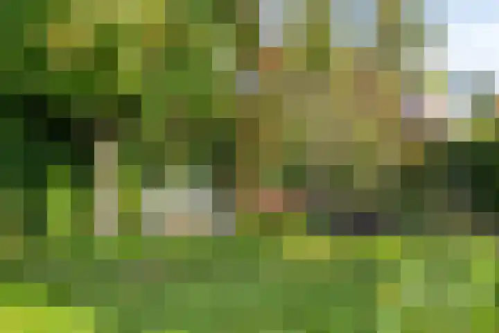 Altena 3 Gieten thumbnail 52