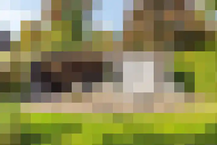 Altena 3 Gieten thumbnail 55