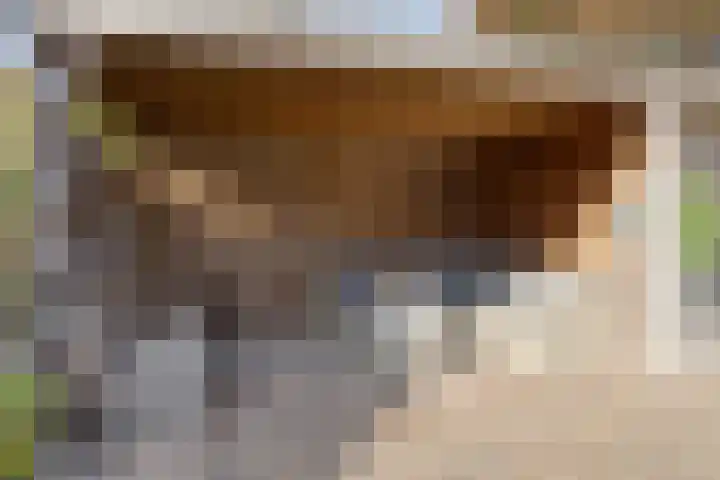 Altena 3 Gieten thumbnail 56