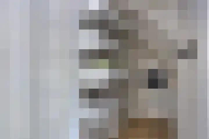 Altena 30 Chaam thumbnail 17