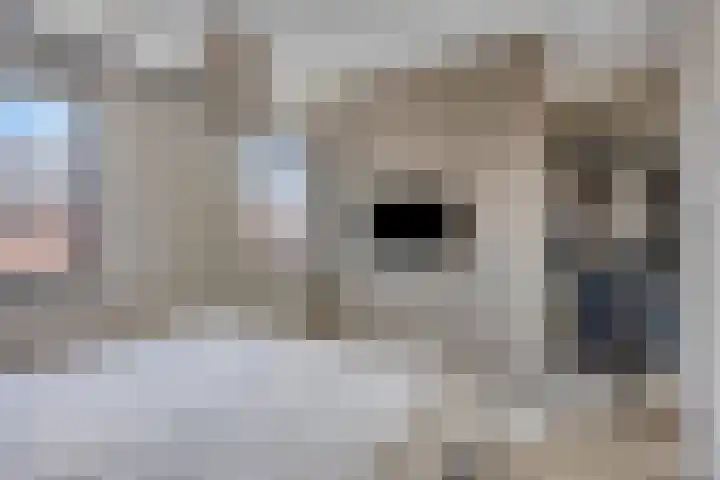Altena 30 Chaam thumbnail 20