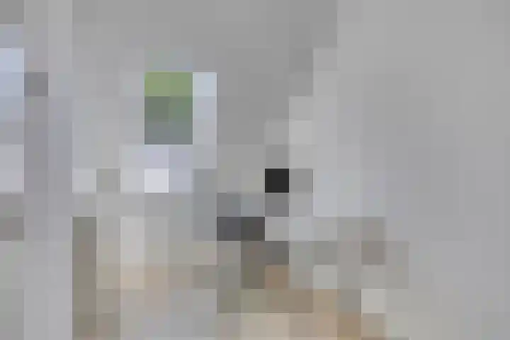 Altena 30 Chaam thumbnail 23