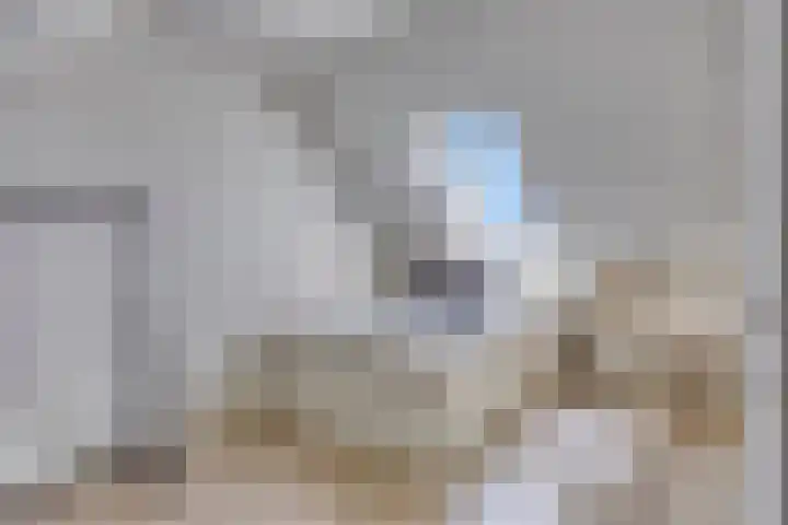 Altena 30 Chaam thumbnail 29