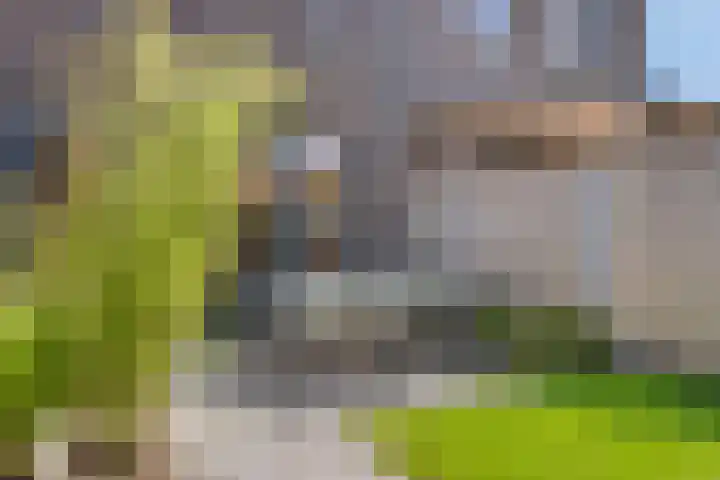 Altena 30 Chaam thumbnail 33