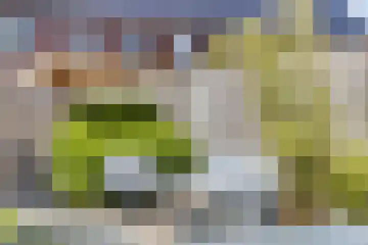 Altena 30 Chaam thumbnail 34