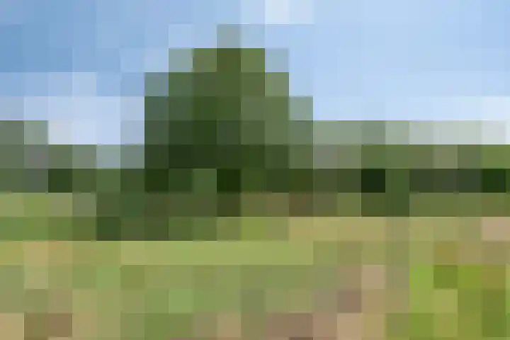 Altena 30 Chaam thumbnail 38