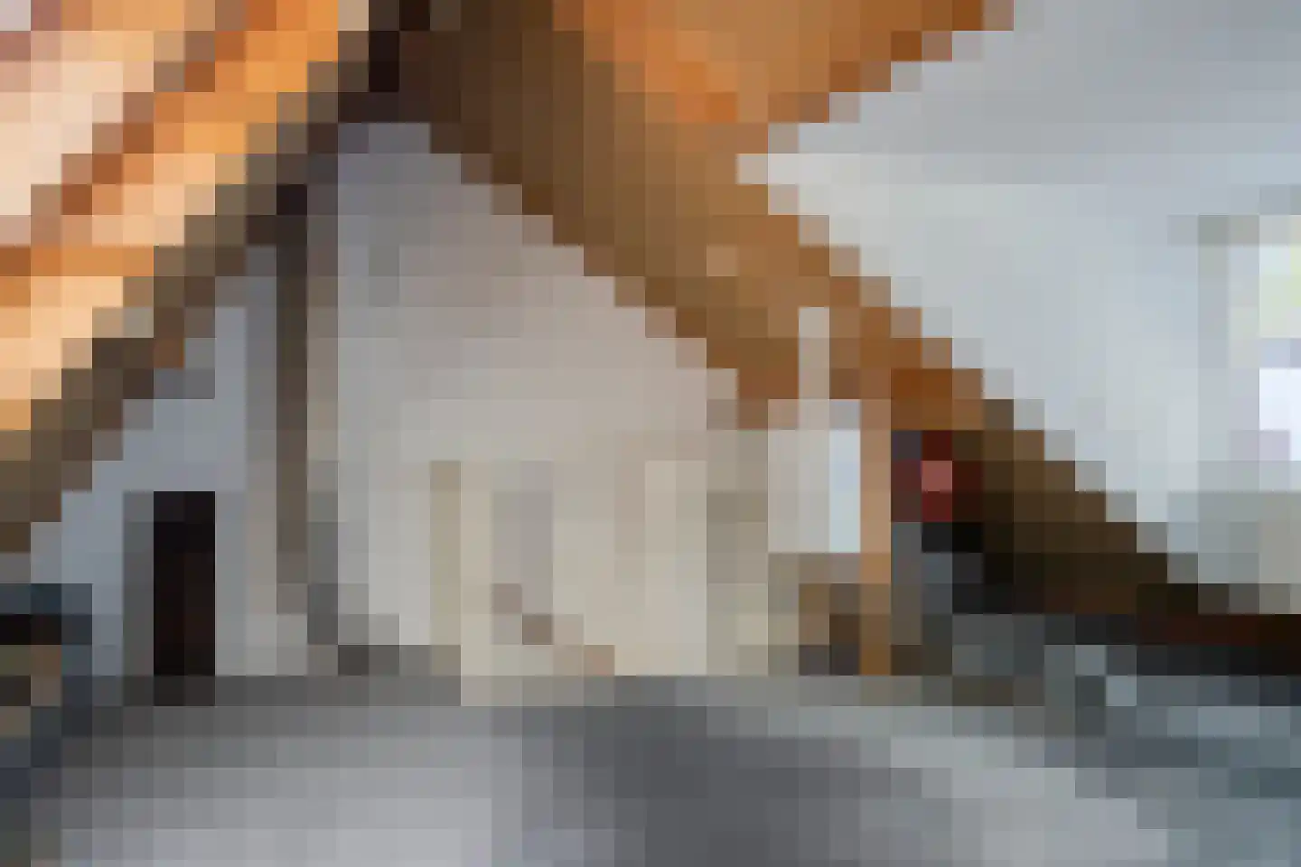 Altena 33 Ugchelen thumbnail 24