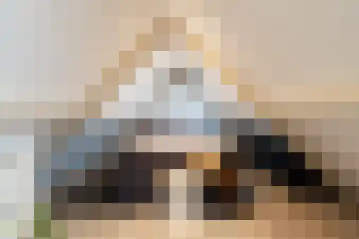 Altena's Laantje 1 d Almkerk thumbnail 16