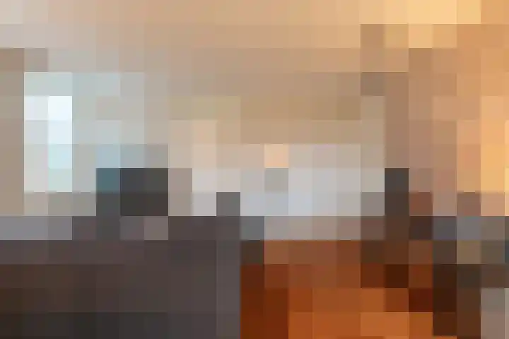 Altena's Laantje 1 d Almkerk thumbnail 8