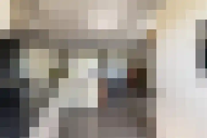 Altena's Laantje 1 e Almkerk thumbnail 13