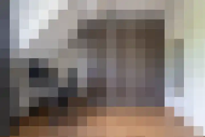 Altena's Laantje 1 e Almkerk thumbnail 20