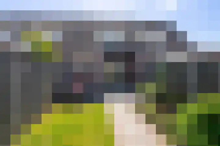 Altena's Laantje 1 e Almkerk thumbnail 23