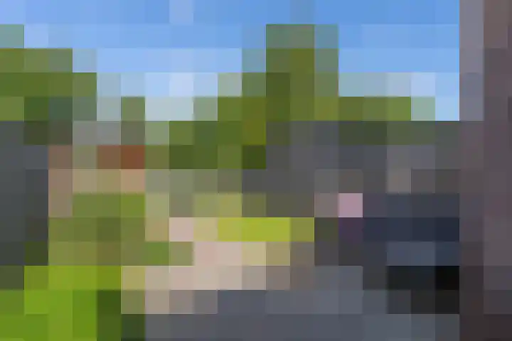 Altena's Laantje 1 e Almkerk thumbnail 24