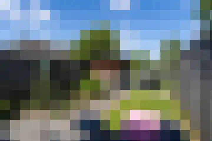 Altena's Laantje 1 e Almkerk thumbnail 25