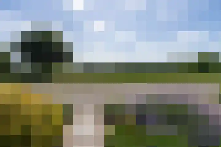 Altena's Laantje 1 e Almkerk thumbnail 4