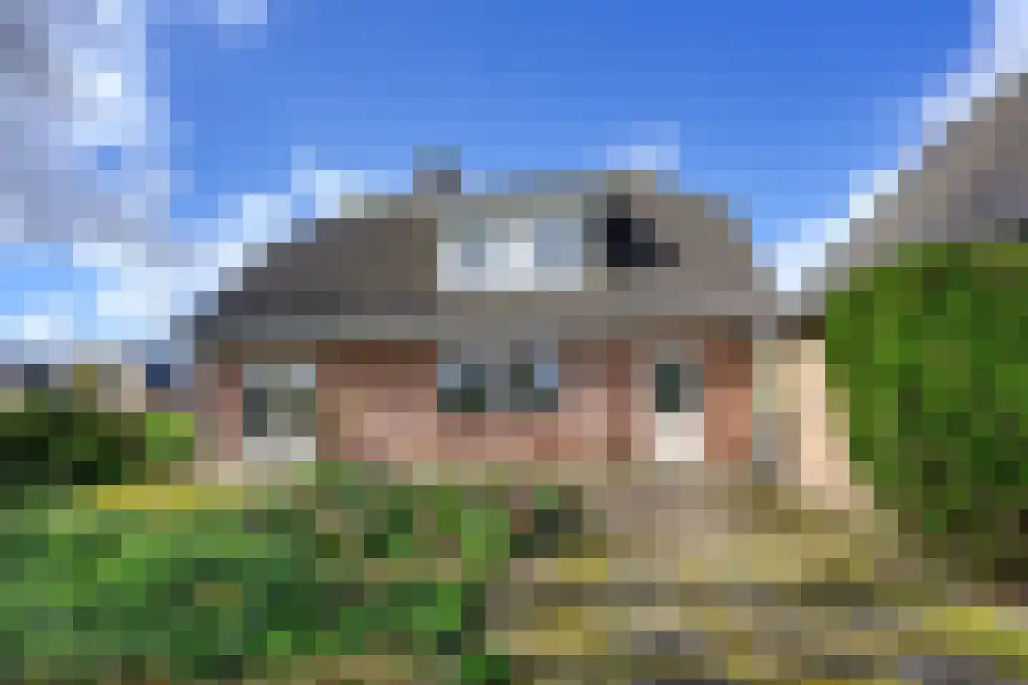Altena's Laantje 2 a Almkerk thumbnail 30