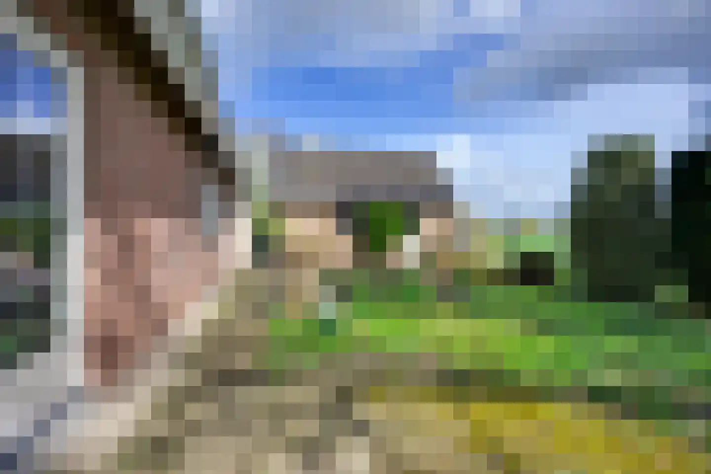 Altena's Laantje 2 a Almkerk thumbnail 31