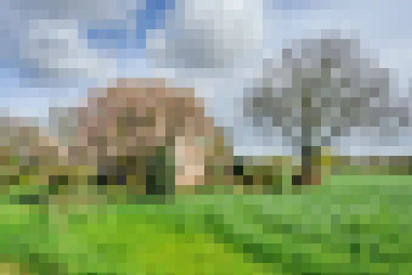 Altena's Laantje 2 a Almkerk thumbnail 5