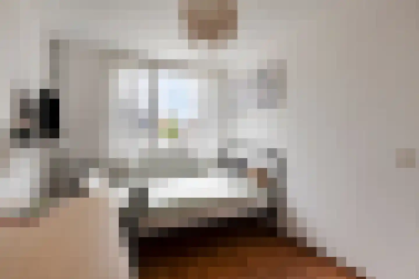 Altenahof 10 Helmond thumbnail 25