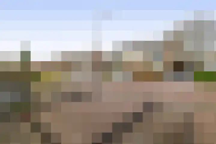 Altenalaan 12 Stadskanaal thumbnail 11