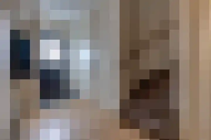 Altenalaan 15 Stadskanaal thumbnail 12