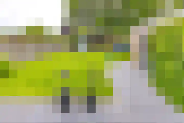 Altenalaan 15 Stadskanaal thumbnail 27