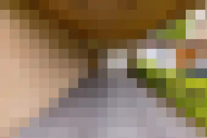 Altenalaan 15 Stadskanaal thumbnail 30