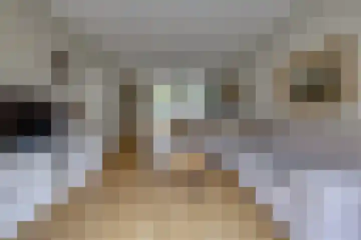 Altenalaan 15 Stadskanaal thumbnail 6