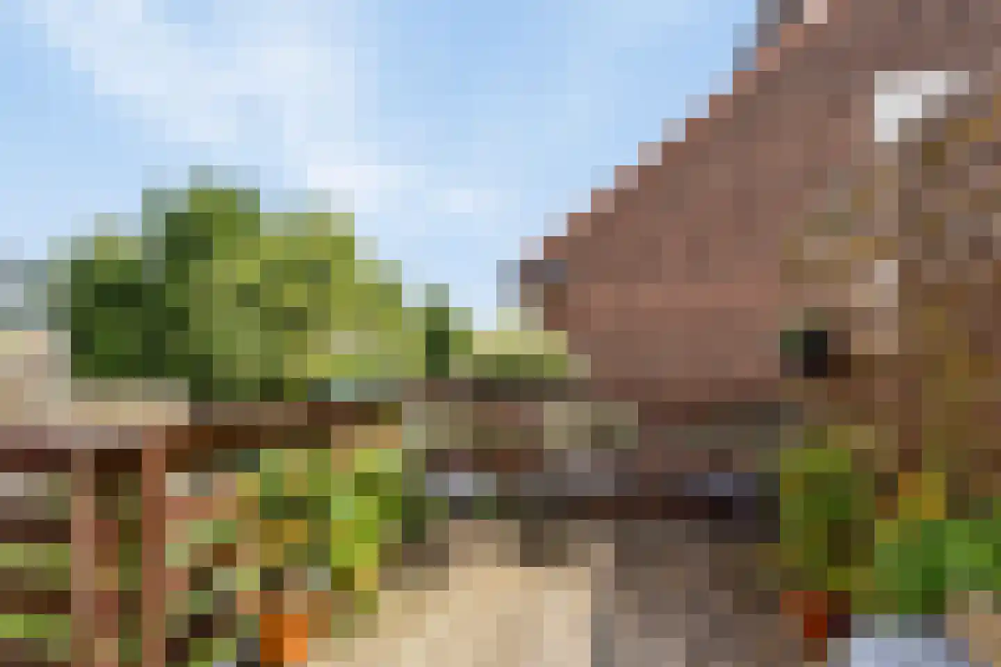 Altenastraat 16 A Haarlem thumbnail 9