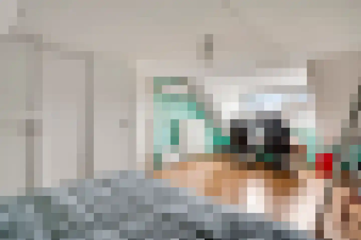 Altenastraat 2 Weert thumbnail 21