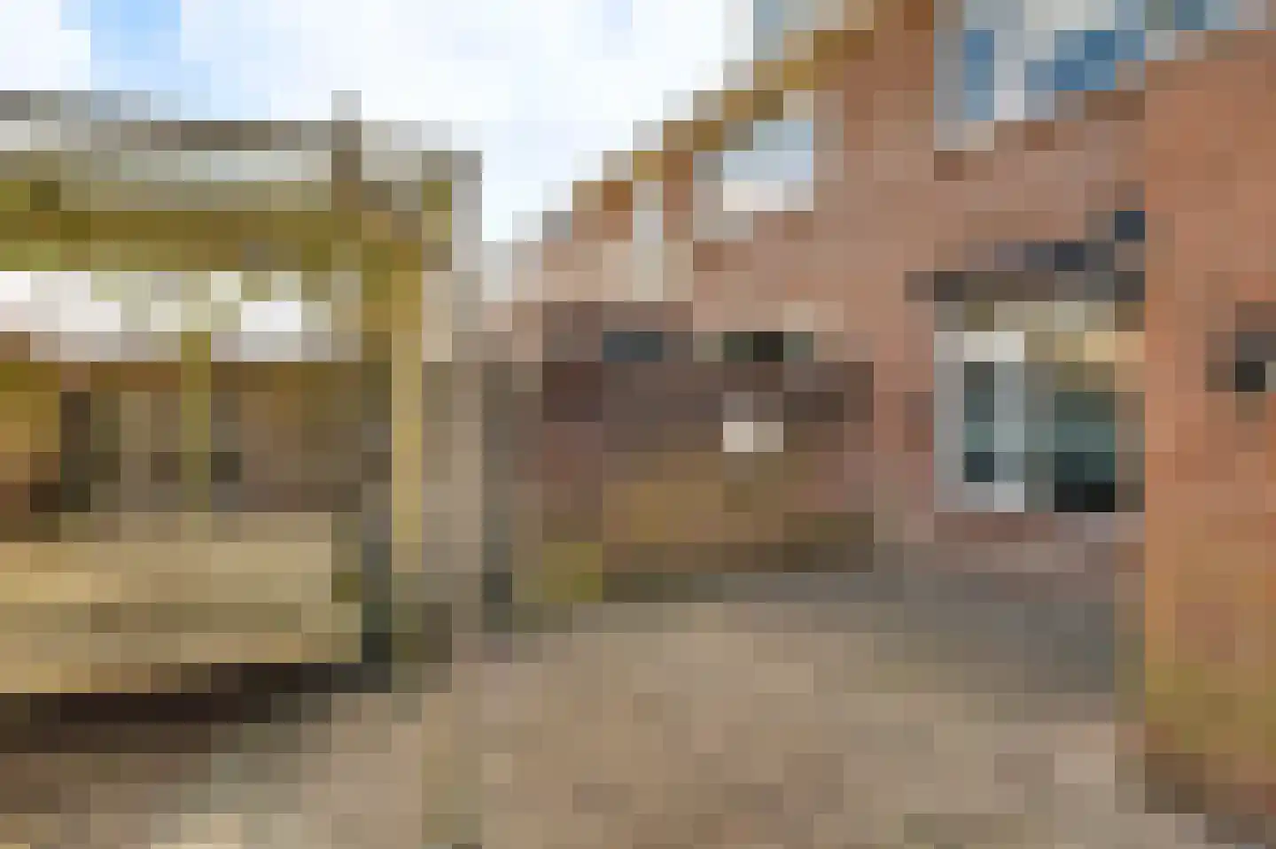 Altenastraat 2 Weert thumbnail 26