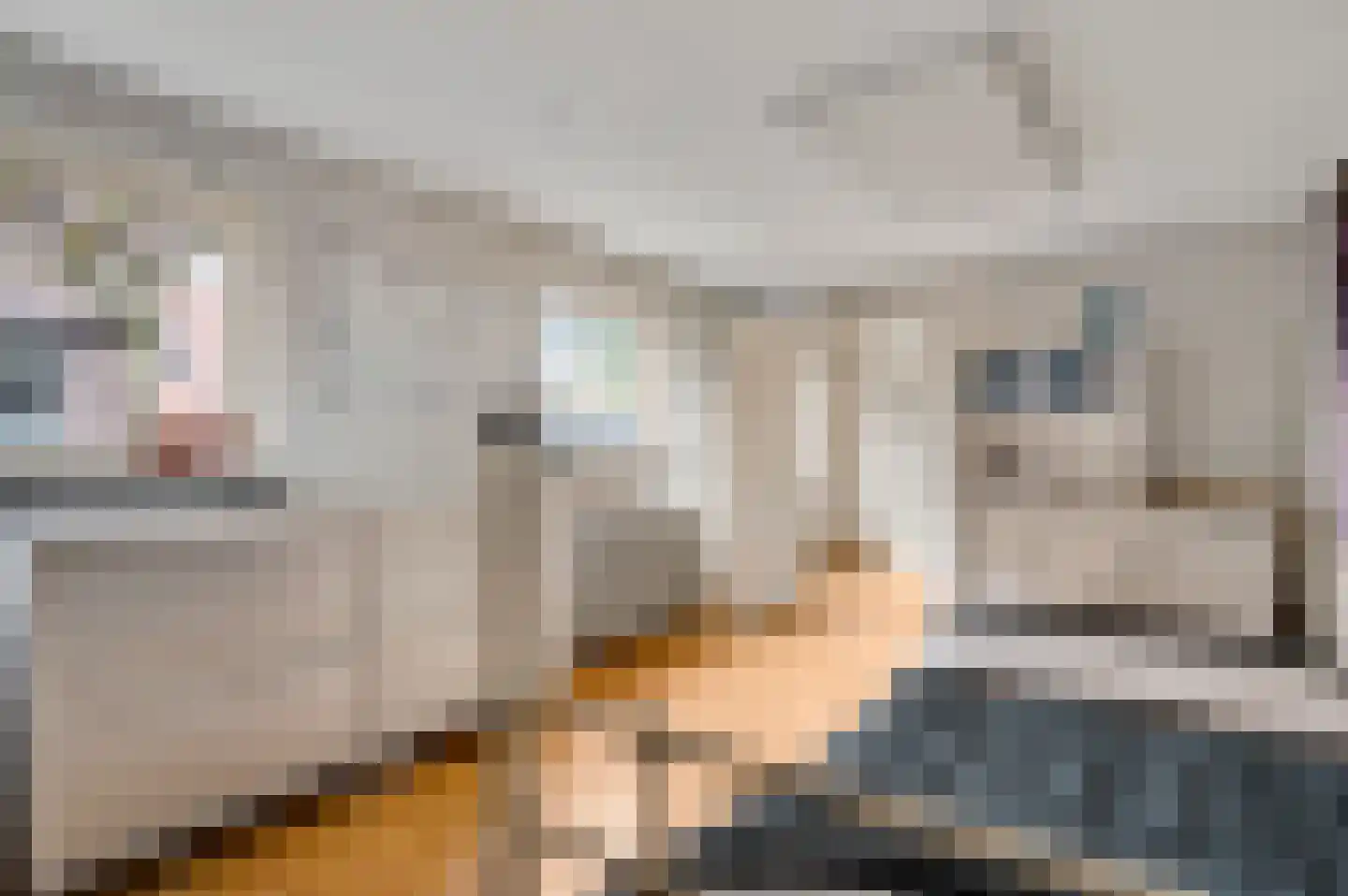 Altenastraat 2 Weert thumbnail 30
