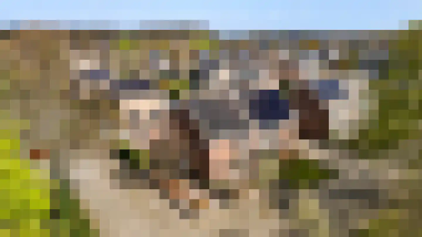 Altenastraat 2 Weert thumbnail 43