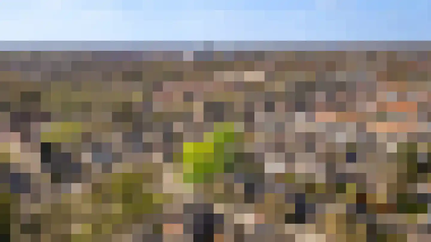 Altenastraat 2 Weert thumbnail 49