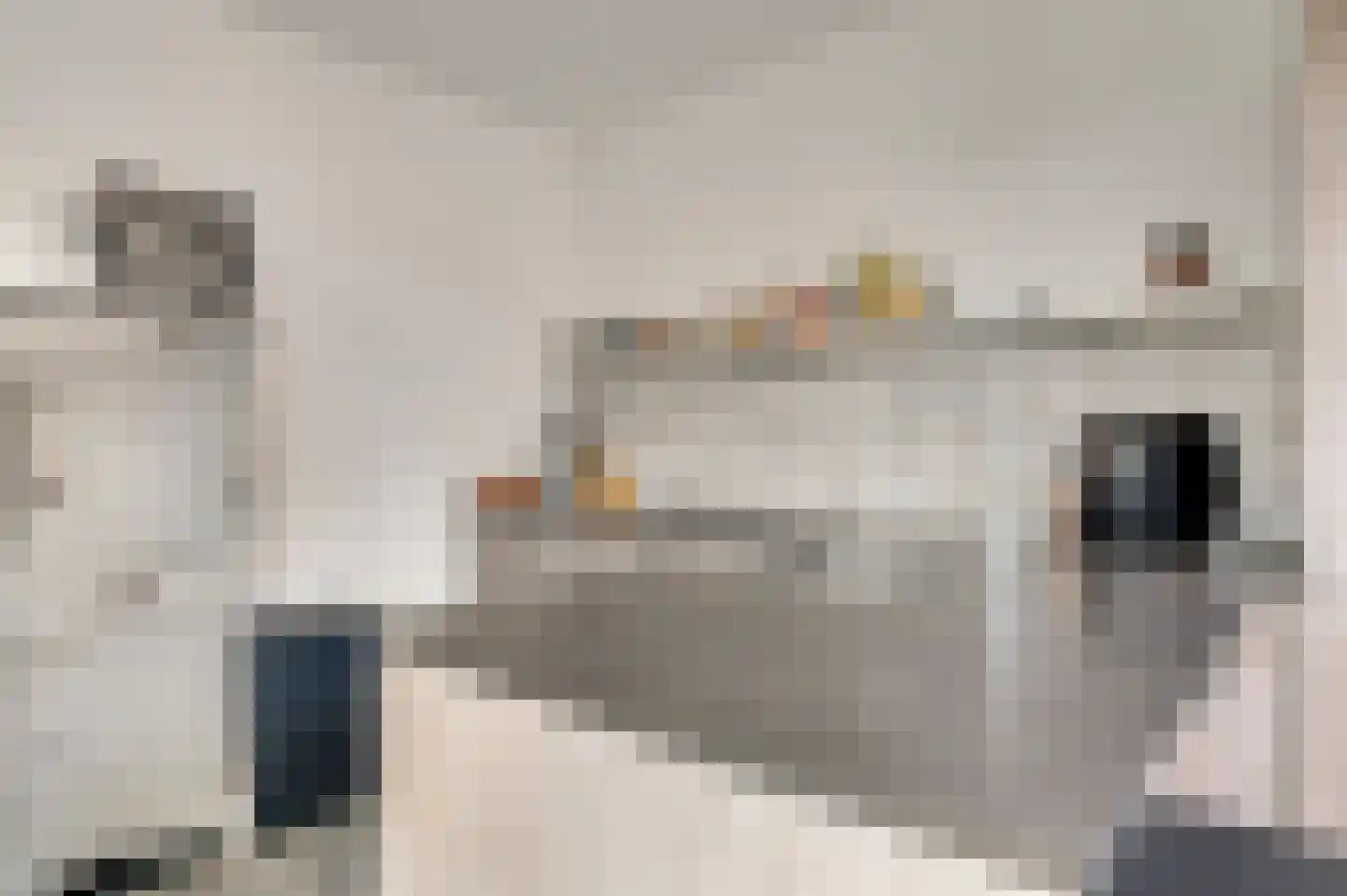 Altenastraat 2 Weert thumbnail 6